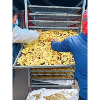 (GIÁ SỈ 1KG) Gừng Lát Sấy Khô Đẹp, Thơm, Cay