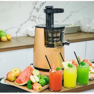 Máy ép chậm Promix, Máy ép chậm công suất 150W - 800ML
