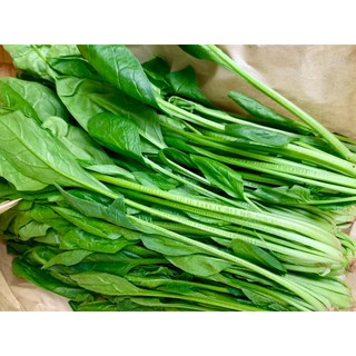 Hạt giống Rau Chân Vịt (Cải Bó Xôi) HÀNG CHÍNH HÃNG
