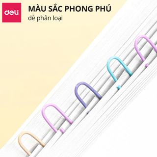 COMBO 5 Hộp Ghim Vòng Deli 0024 - Kẹp Giấy Tài Liệu Đa Năng Tiện Lợi