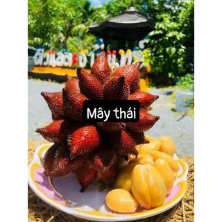mây thái snack chua ngọt ( chua nhiều ) 500gr , mềm mọng nước