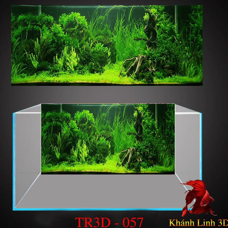 Tranh 3D Bể Cá Cảnh Mẫu Thủy Sinh - Tranh Bể Cá Sẵn Keo Dán - Tặng Kèm Bộ Dụng Cụ Dán