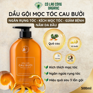 Dầu gội đầu trị gàu cau bưởi MR.NINE ngăn rụng tóc, giảm gàu, kích thích mọc tóc (500ml)