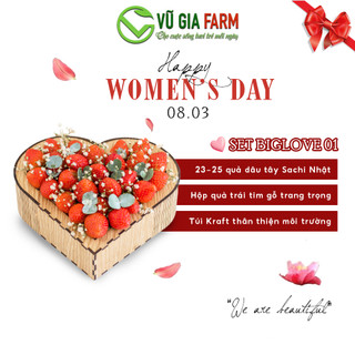 [QUÀ TẶNG] BigLove 01 Dâu Tây Đà Lạt Giống Nhật Sachi