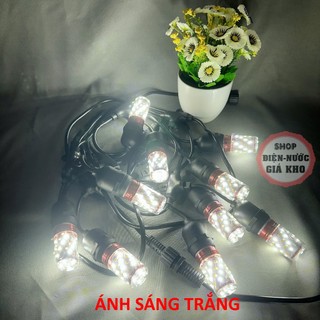 Combo 5 Bóng Led Bắp E14 E27 12W 3 Chế Độ Sáng trắng , vàng , trung tính