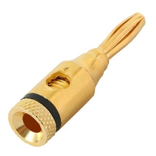 Rắc bắp chuối, 01 Jack bắn chuối