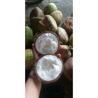DỪA SÁP BI ĐẶC 400G