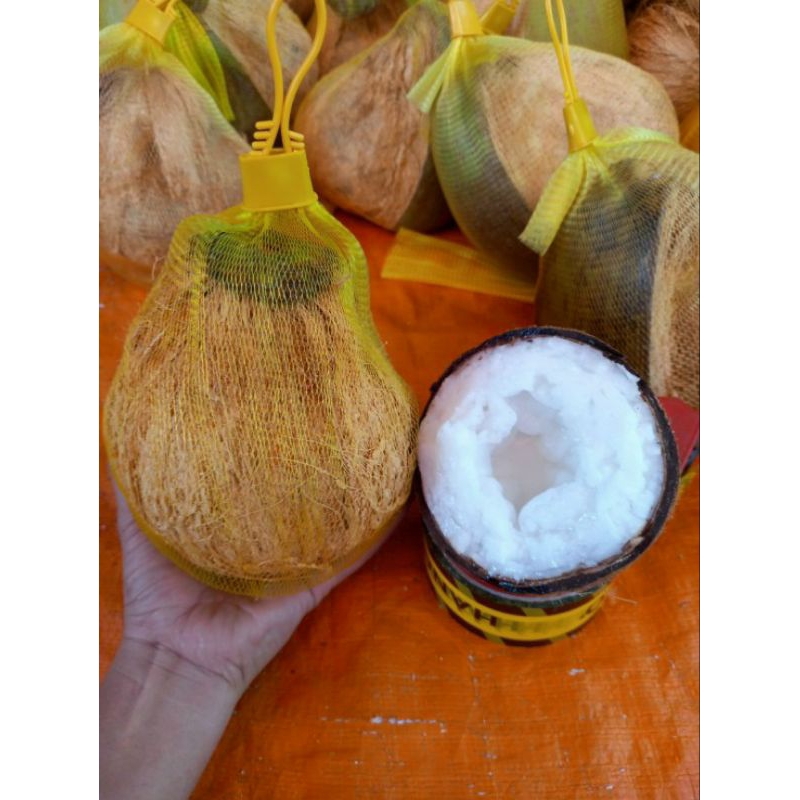 DỪA SÁP BI ĐẶC 400G