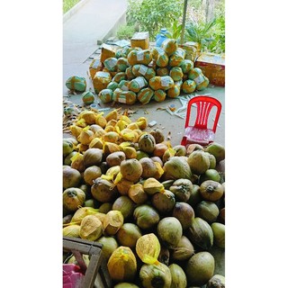 DỪA SÁP BI ĐẶC 400G