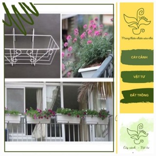 Giỏ Sắt Treo Lan Can Ban Công Chữ Nhật Lớn 63X22X17Cm - khay chậu nhựa - giỏ sắt