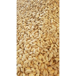 500gr hạt bí rang củi