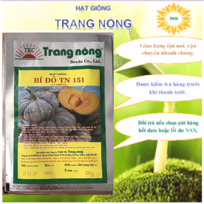 20gr Hạt giống bí đỏ bánh xe, bí đỏ tròn, bí rợ F1 TN151 Trang Nông