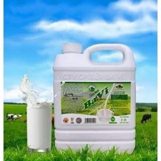 Sữa tươi thanh trùng Ba Vì vị nguyên bản can 2 lít có đường, không đường, ít đường