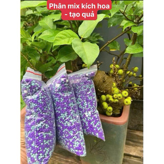  Phân bón mix - Kích sung  me ,khế,ổi ra quả theo ý muốn 
