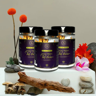 Combo 3 Lọ, Đông Trùng Hạ Thảo Ancordy SilkNest, Kí Chủ Nhộng Tằm, Nấm Đông Trùng Sấy Khô