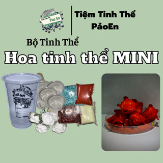 [ HOA TINH THỂ MINI ] Bộ dụng cụ nuôi hoa tinh thể làm quà tặng ( Có giấy hướng dẫn )