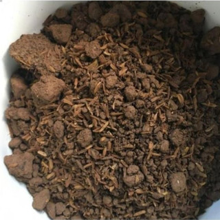 Đất  TRIBAT dinh dưỡng trồng cây ( Bán lẻ theo kg )