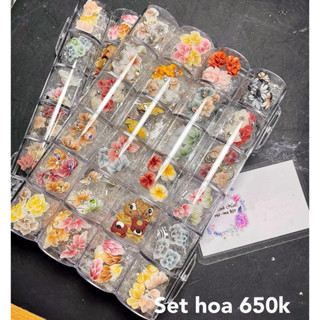 Set hoa bột nail ( 100bông )