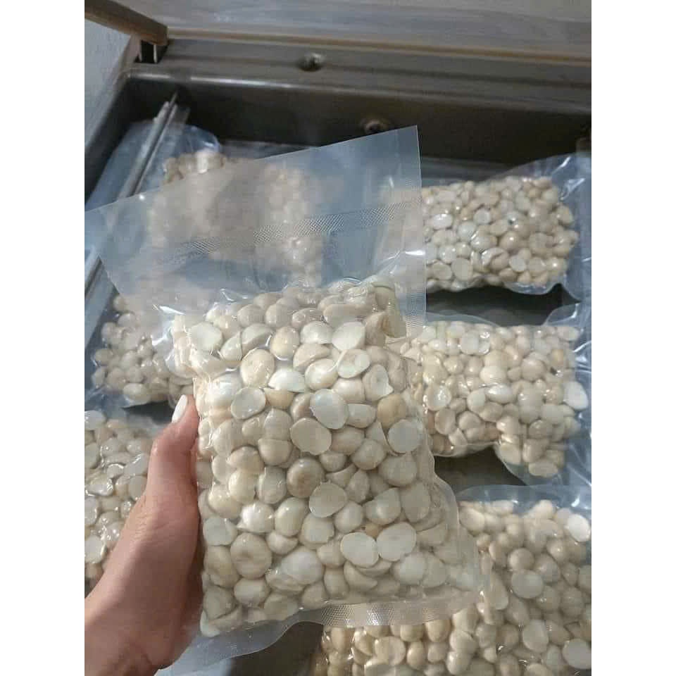 Hạt macca tách vỏ Đak Lak size trung dùng làm sữa hạt, ngũ cốc - Hạt macadamia
