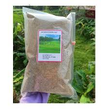 Hạt giống cỏ nhung nhật gói 100gr