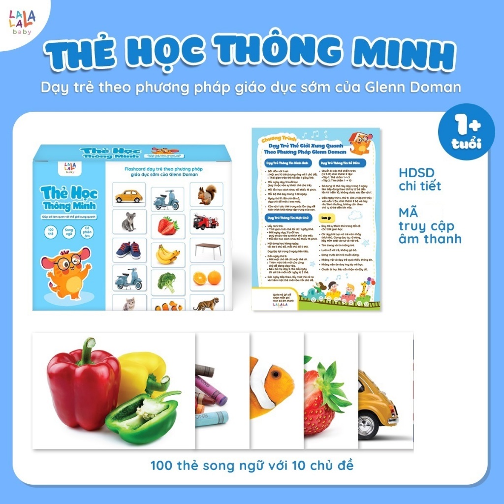 Flashcard Cho Bé - Bộ 100 Thẻ Học Thông Minh Giáo Giục Sớm Glenn Doman size A5 15x21cm song ngữ Anh 