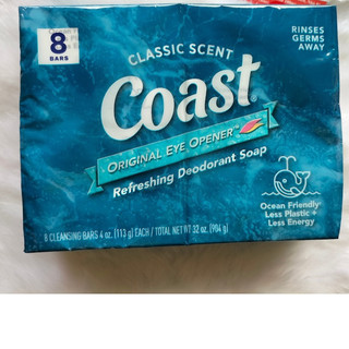 Xà bông cục Coast Mỹ 113g