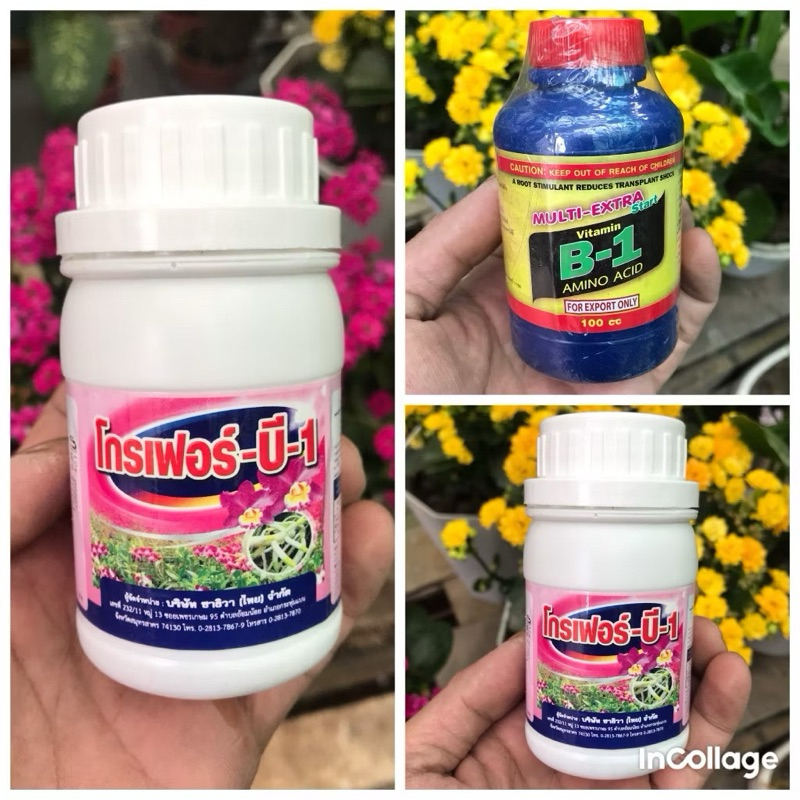 Phân Bón B1 Thái Lan chai 100 ml