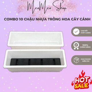   Combo 10 chậu Chậu nhựa trồng hoa trồng rau trồng cây cảnh hình chữ nhật thông minh KT 48x20x16cm Tiện Lợi Làm Vườn 