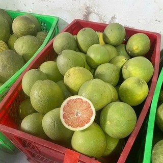 [[ sét 15kg]]BƯỞI LÃO DA XANH BẾN TRE CHÍNH GỐC