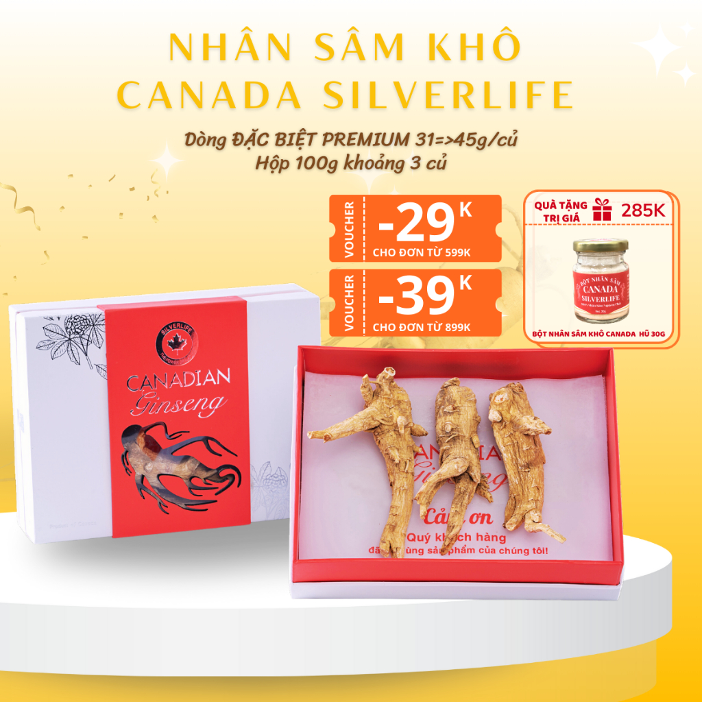 Nhân Sâm Canada SilverLife Nguyên Củ Premium | Nhân sâm Bắc Mỹ 5 tuổi loại to đặc biệt