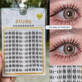  Lông mi rời Muse #X42- Lông mi cô dâu 