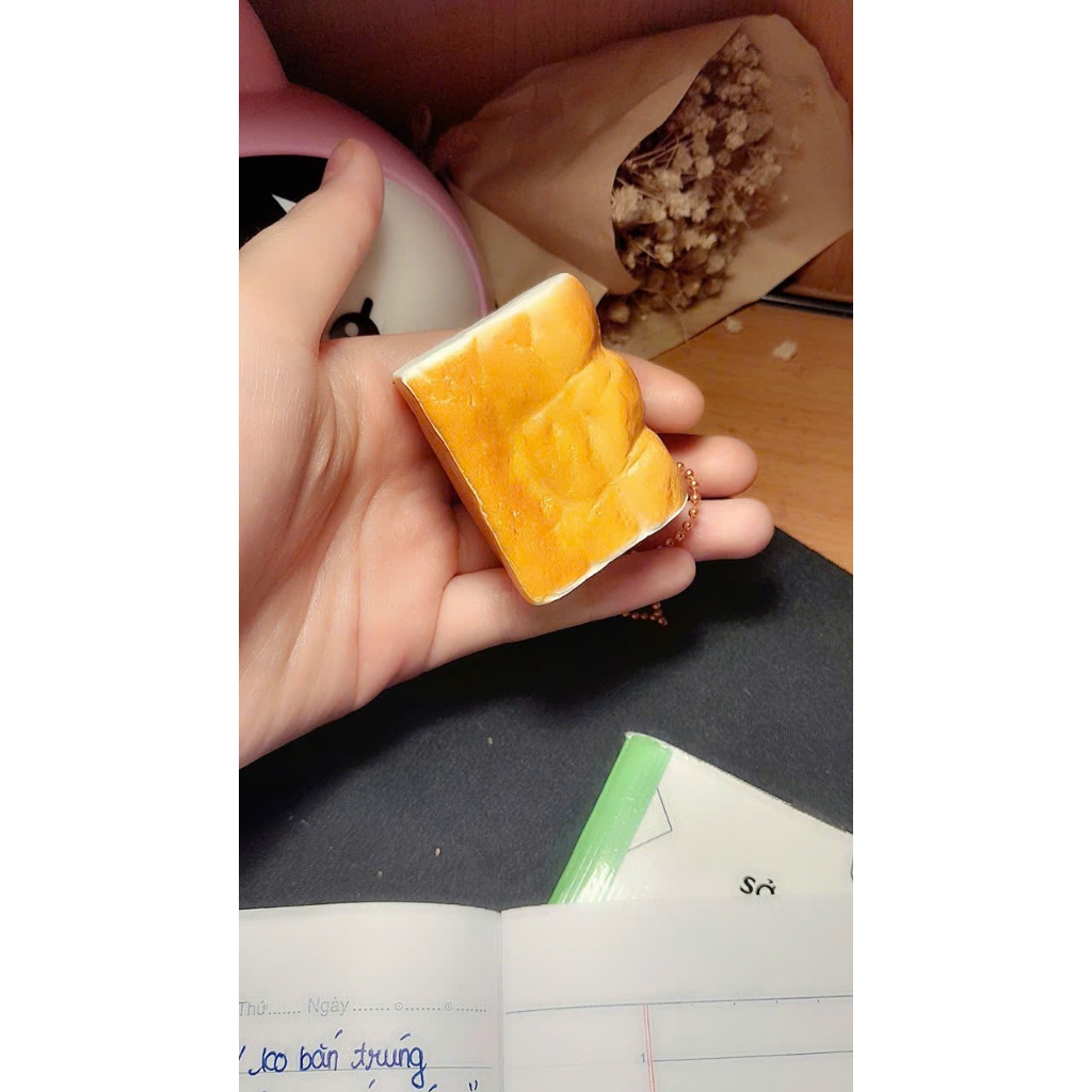 squishy bánh mì ibloom new dd