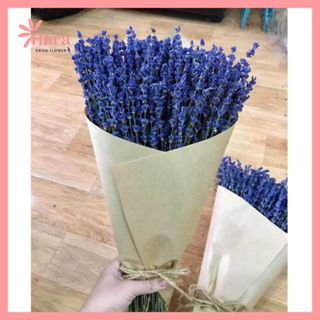 Cành Hoa Oải Hương Khô, Hoa Lavender Khô Loại 1 Nhập Khẩu Thơm Ngát, Nhiều Nụ - Hoa khô Hara