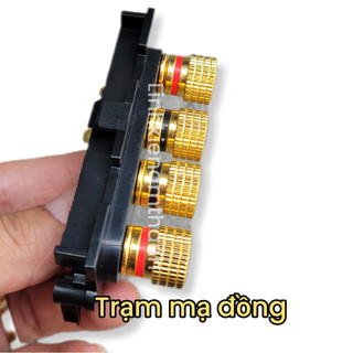 Trạm Loa Ampli Mạ Đồng, Bọc Nhựa 2 Kênh