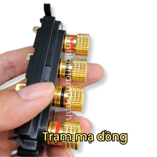 Trạm Loa Ampli Mạ Đồng, Bọc Nhựa 2 Kênh