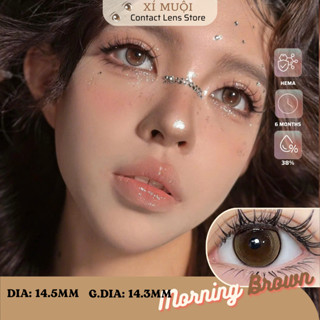  Lens Mắt Màu Nâu Tây Giãn Vừa Morning Có Cận 