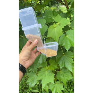 hộp thức ăn tự động cho chim