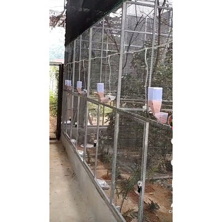 hộp thức ăn tự động cho chim