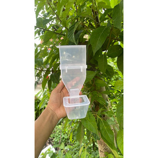 hộp thức ăn tự động cho chim
