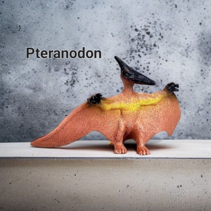 Đồ chơi mô hình khủng long bay Pteranodon Dực Long