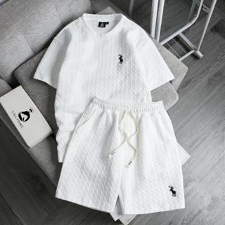 Bộ Quần Áo Nam UMA STORE Thêu Ngựa Chất Liệu Cotton Xốp Siêu Đẹp Áo Cộc Tay Cổ Bẻ Quần Short SPB23