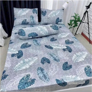 Bộ ga giường thun lạnh Hàn Quốc 4 món nệm 3-25cm (xem mô tả )