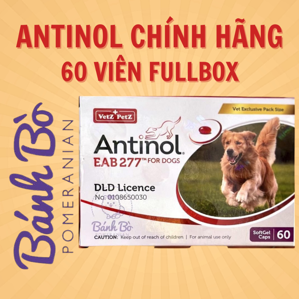 SIÊU MỌC LÔNG, DƯỠNG LÔNG VÀ BỔ KHỚP CHO CHÓ MÈO ANTINOL CHÍNH HÃNG GIÁ TỐT NHẤT