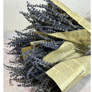 Bó hoa khô hoa lavender (oải hương)  (nhập Anh, ) bó 100g khoảng 100 cành