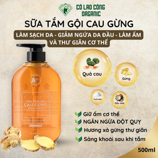 Sữa tắm gội toàn thân cho nam MR.NINE với tinh chất Cau Gừng Đánh Bay Gàu, Giữ Ấm & Bảo Vệ Sức Khỏe