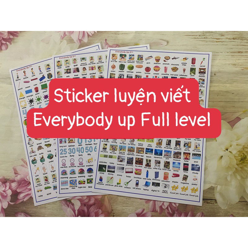 Everybody Up Level starter -1-2-3 -4 phiên bản 2nd - Sticker luyện viết từ vựng