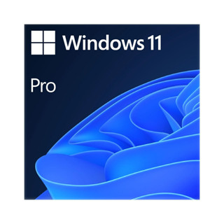 Phần mềm Windows 11 Pro 64Bit Eng Intl 1pk DSP OEI DVD - FQC-10528