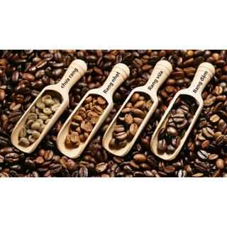 Cà phê Mộc Robusta - Pha Phin - Pha Máy - Cold Brew - Coffee Nguyên chất rang mộc Rey Cafe