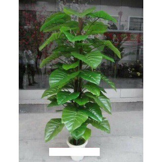 Cây trầu bà leo cột 1.6m-Cây giả