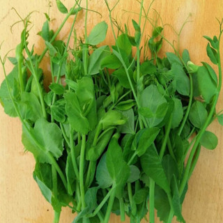 Hạt giống đậu Hà Lan, bí, rau, củ, quả các loại trồng quanh năm nảy mầm (hàng công ty)